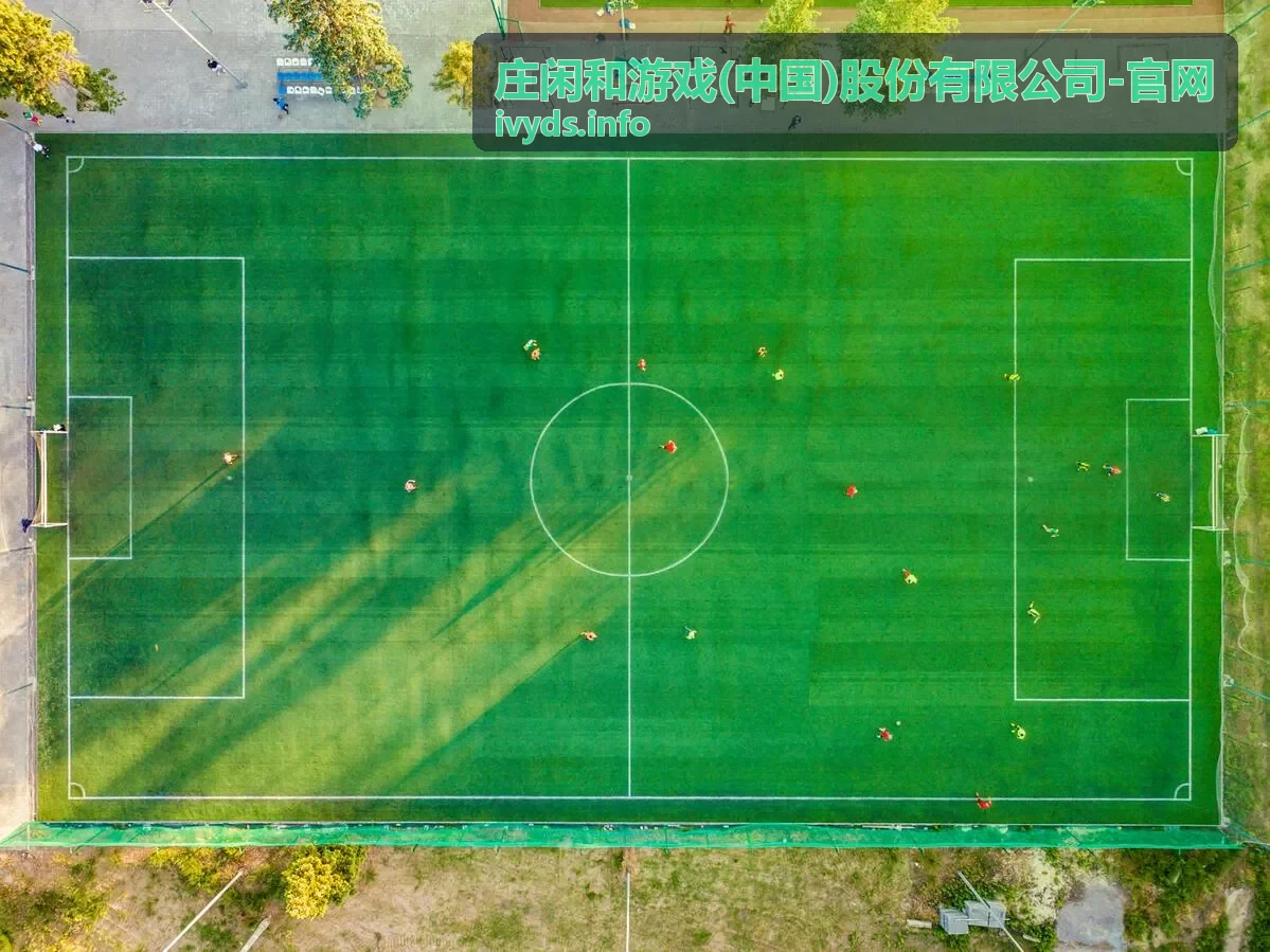 庄闲和游戏官网线上棋牌文化变迁专题封面